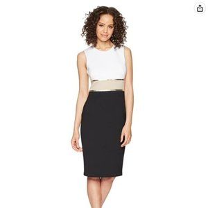 Calvin Klein Women's Sleeveless Color Block Sheath with Metallic Trim Dress, 14